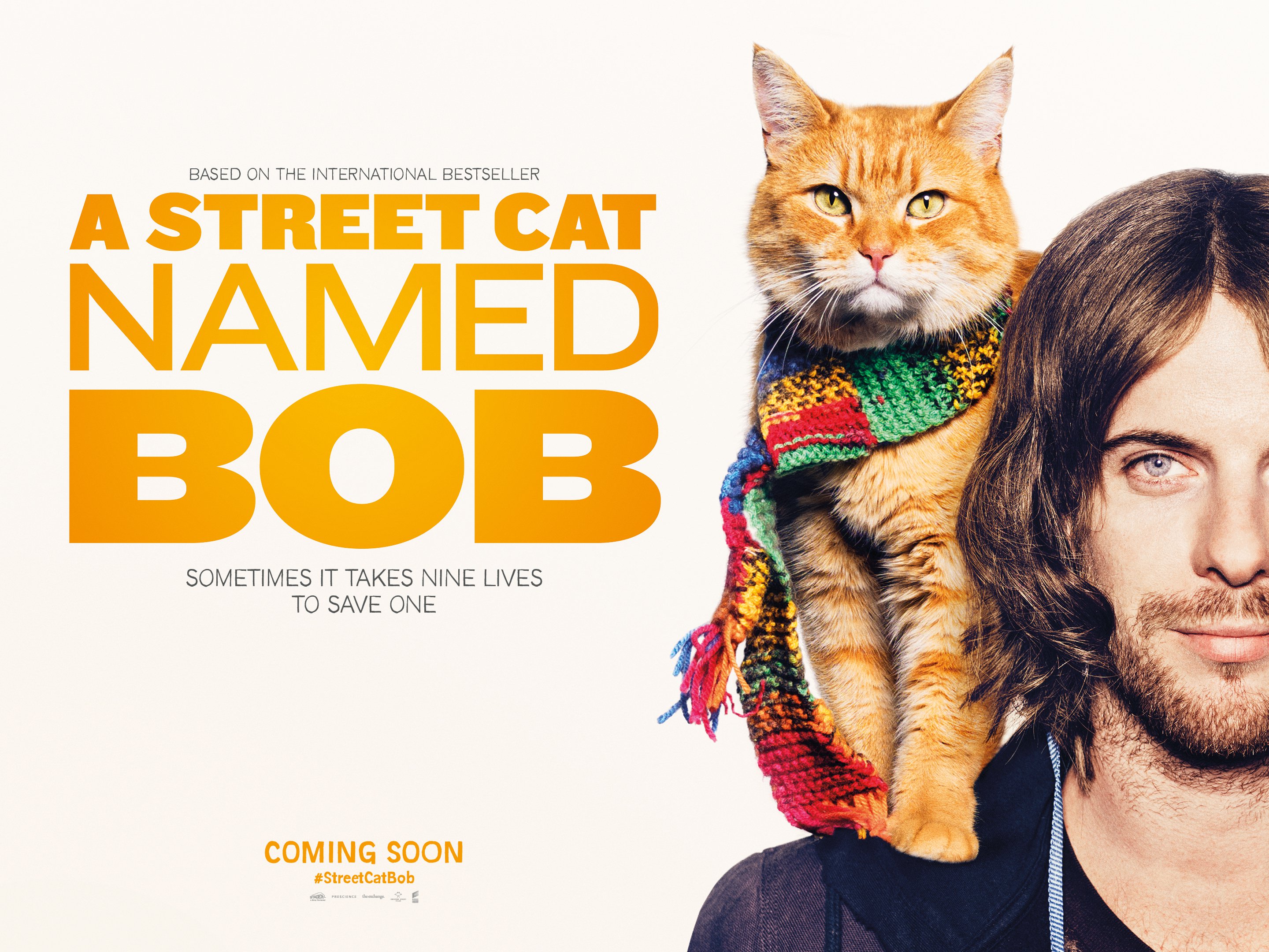 Street Cat Named Bob Belfast Street Cat Named Bob Belfast